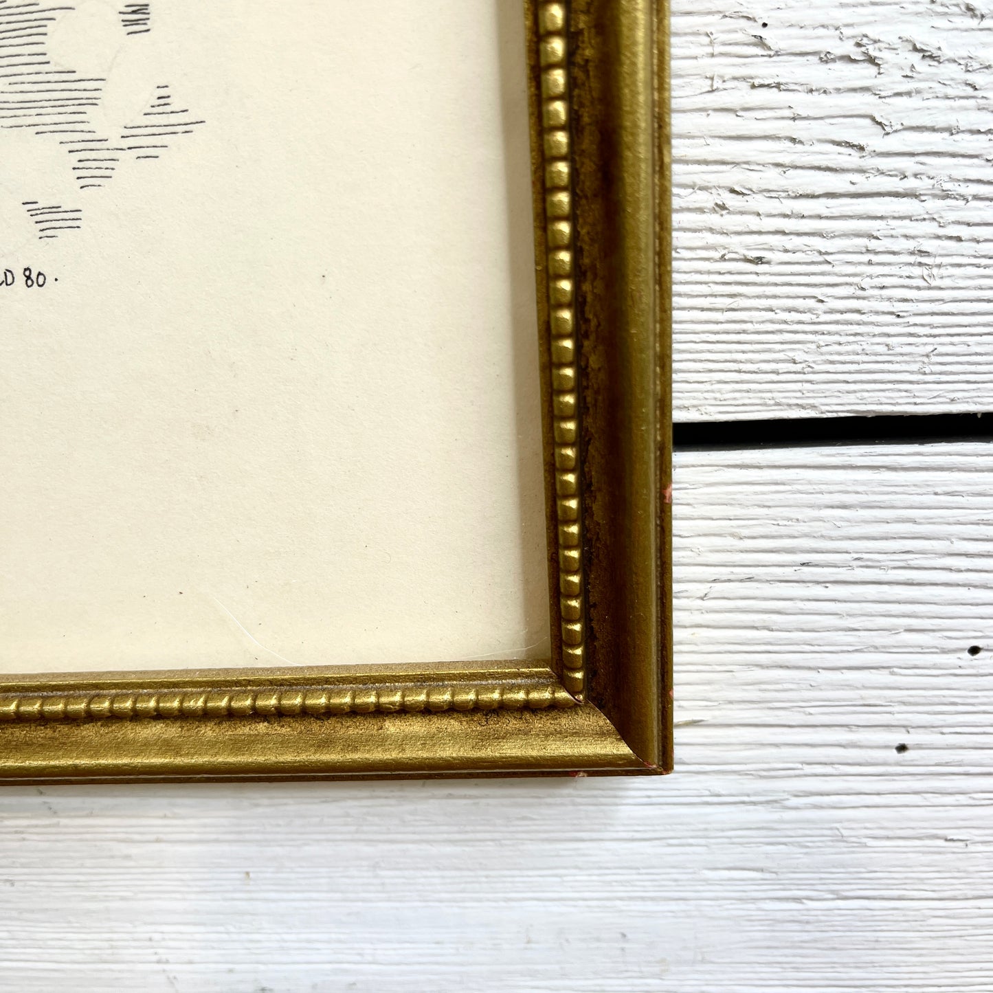 Vintage Pen & Ink Cat Art Print - Signed