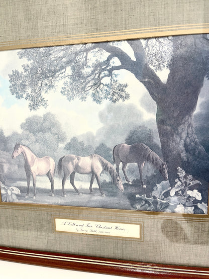 Vintage Horse Scene Lithograph:  George Stubbs