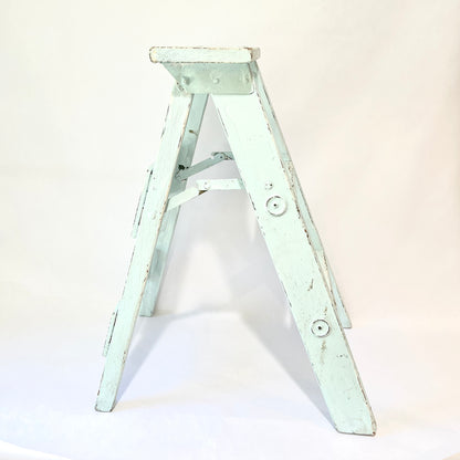 Vintage Chippy Pale Blue Step Ladder Plant Stand
