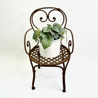 Vintage Child's Garden Chair