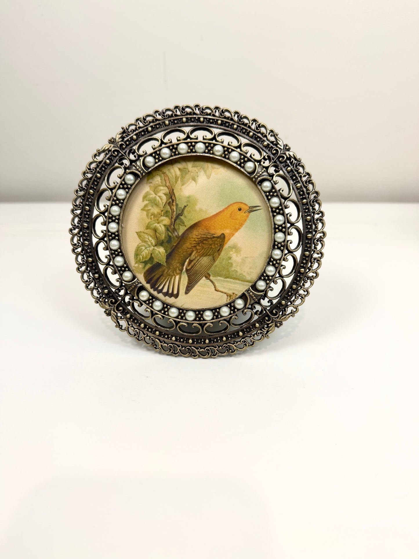 Vintage Picture Frame with Bird Illustration