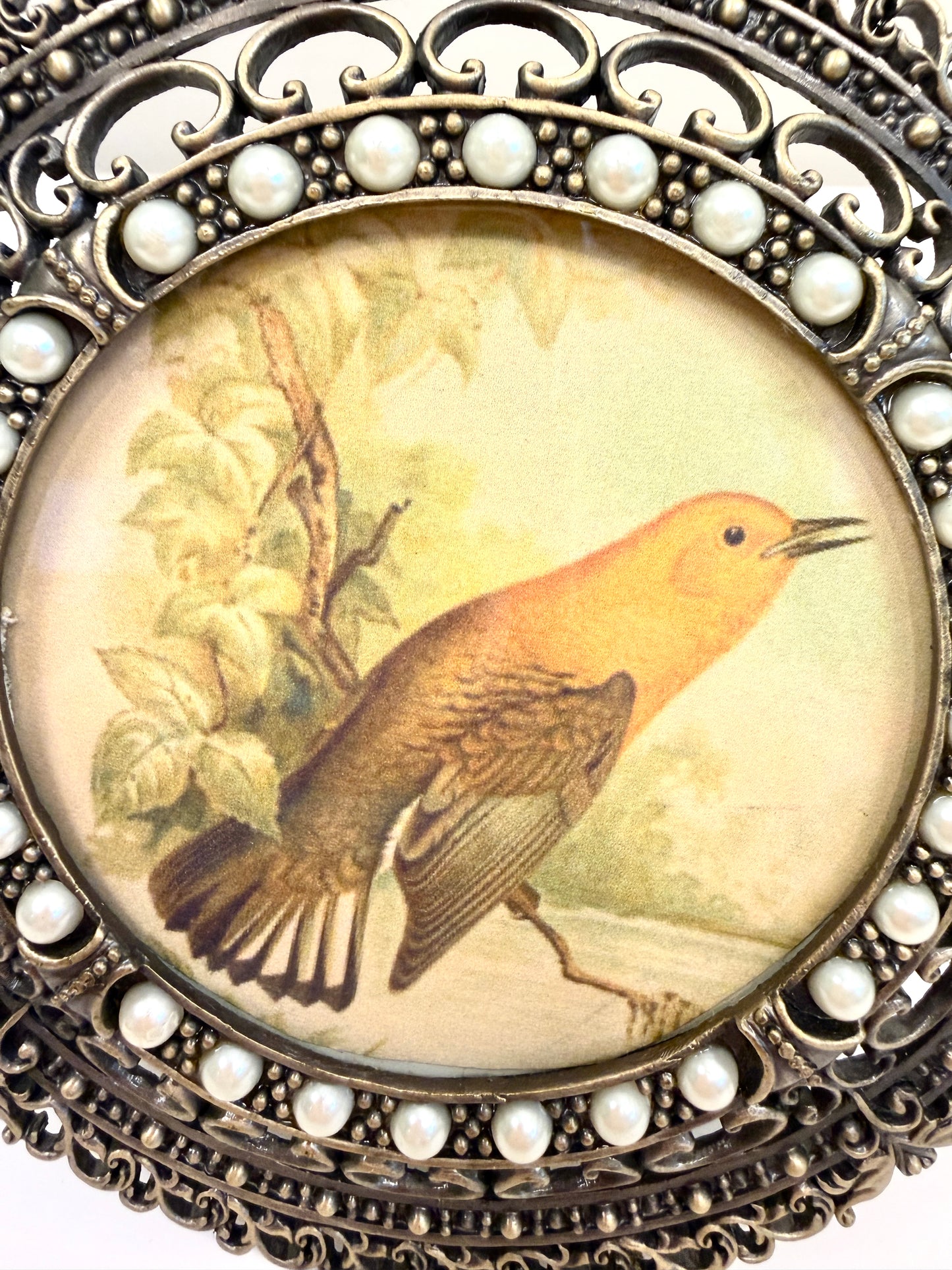 Vintage Picture Frame with Bird Illustration
