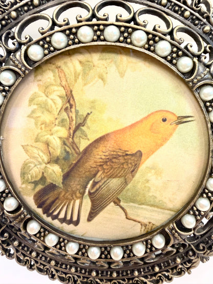 Vintage Picture Frame with Bird Illustration