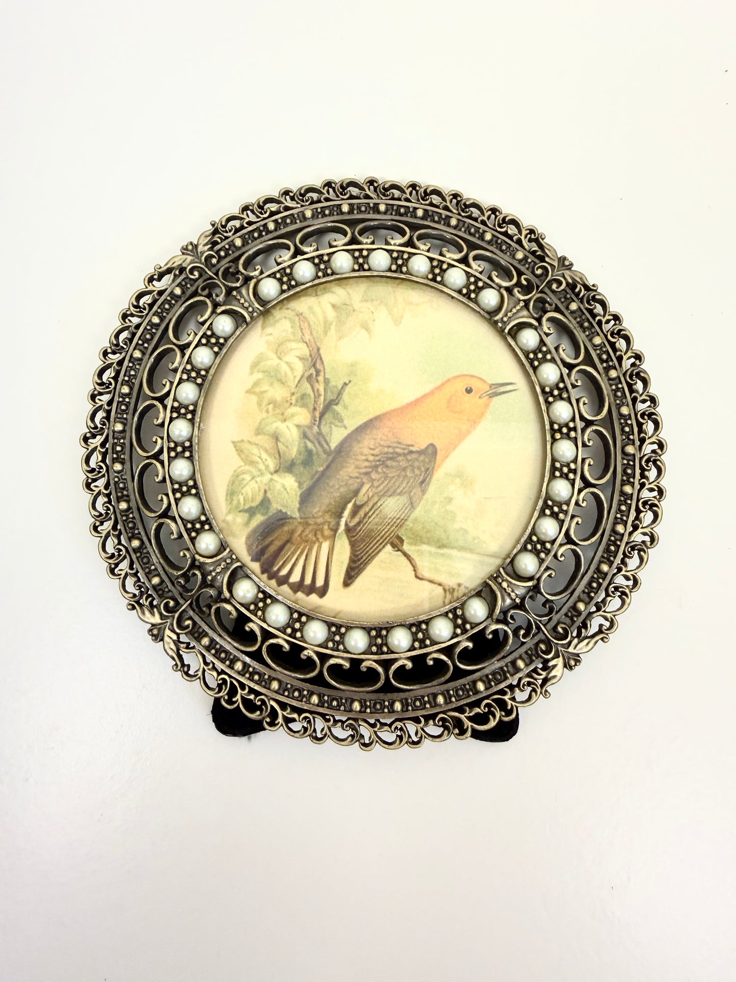 Vintage Picture Frame with Bird Illustration