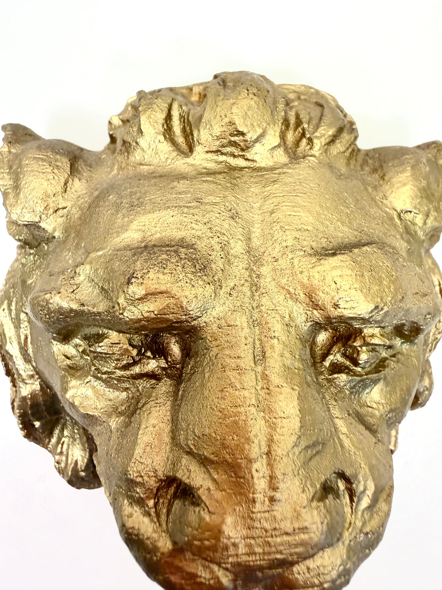 Lion Head Wall Art Pair