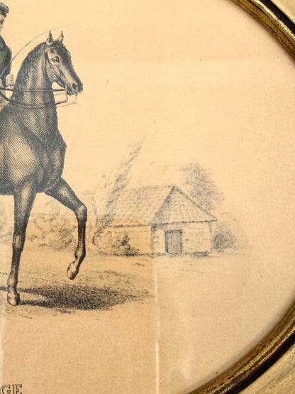 Vintage Equestrian Art Prints