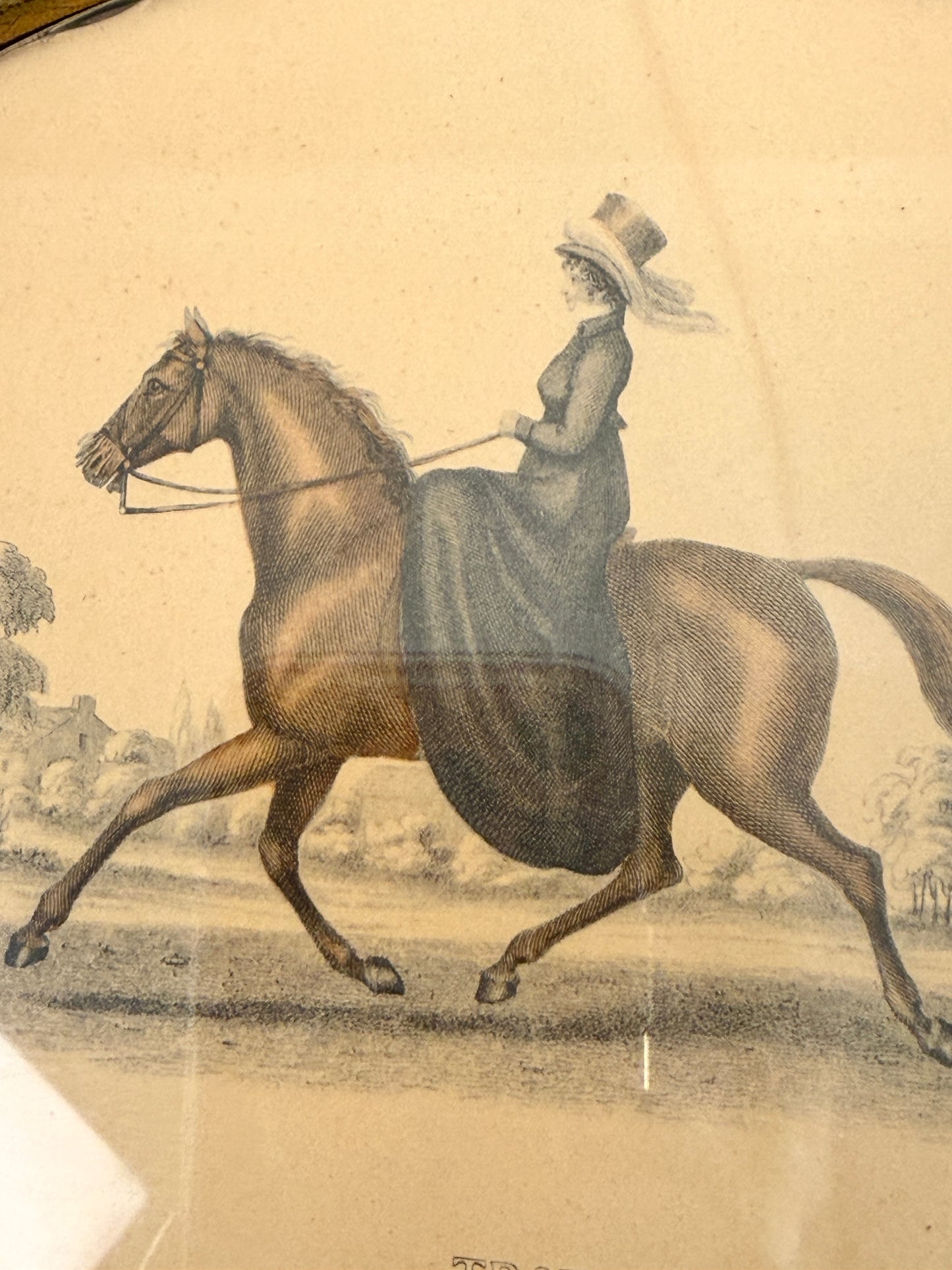 Vintage Equestrian Art Prints