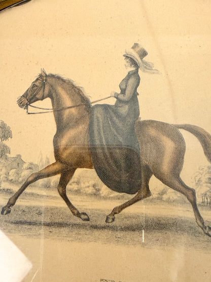 Vintage Equestrian Art Prints