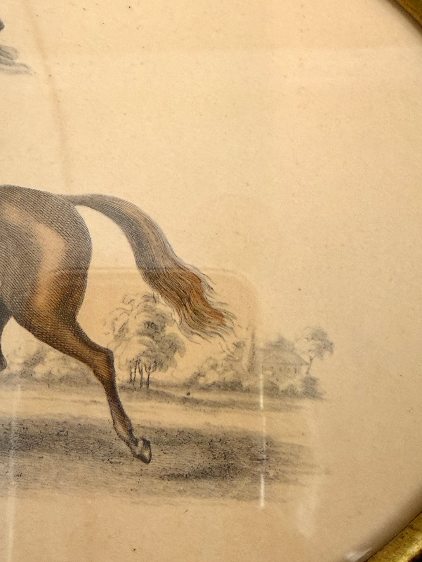 Vintage Equestrian Art Prints