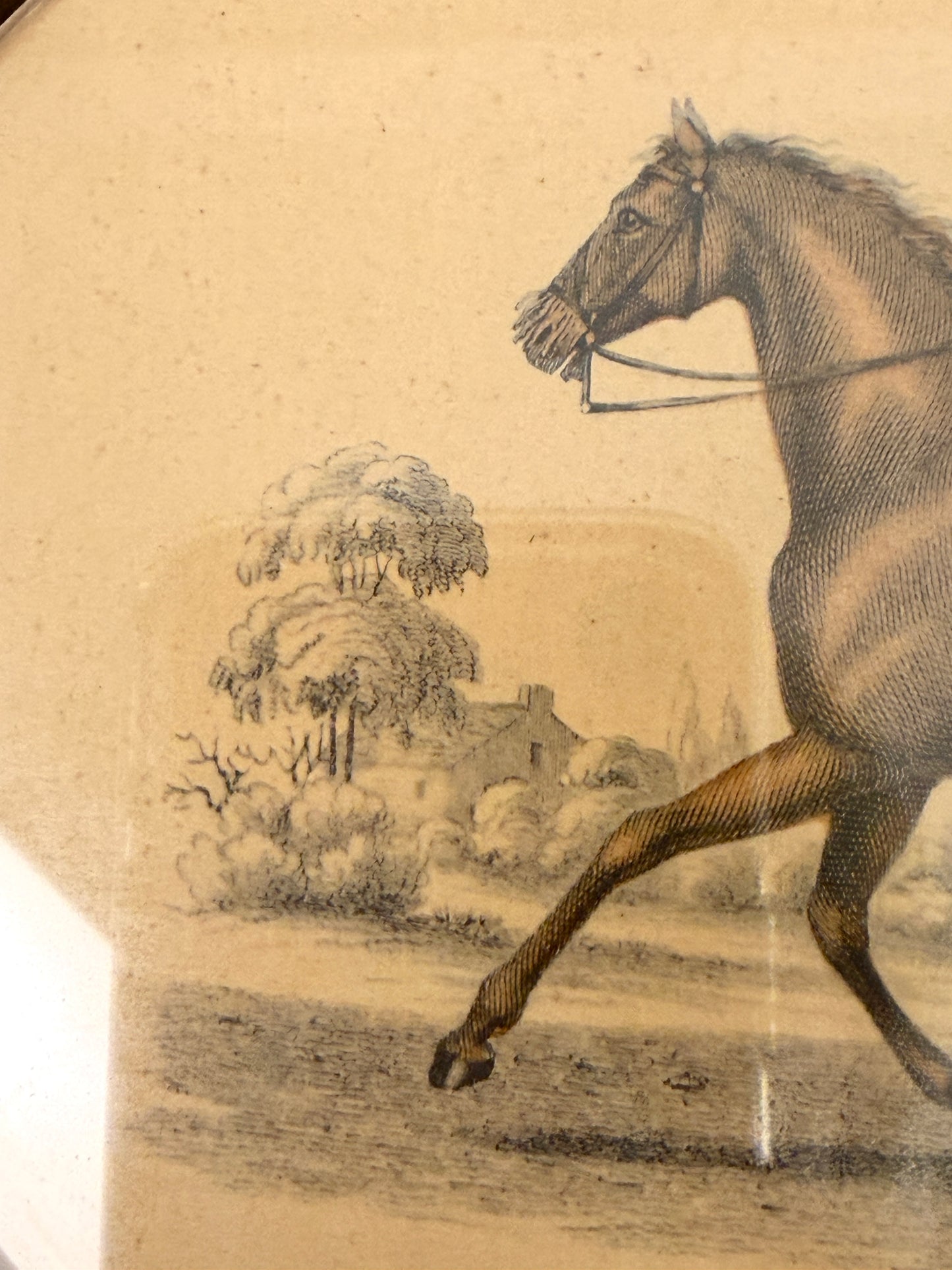 Vintage Equestrian Art Prints