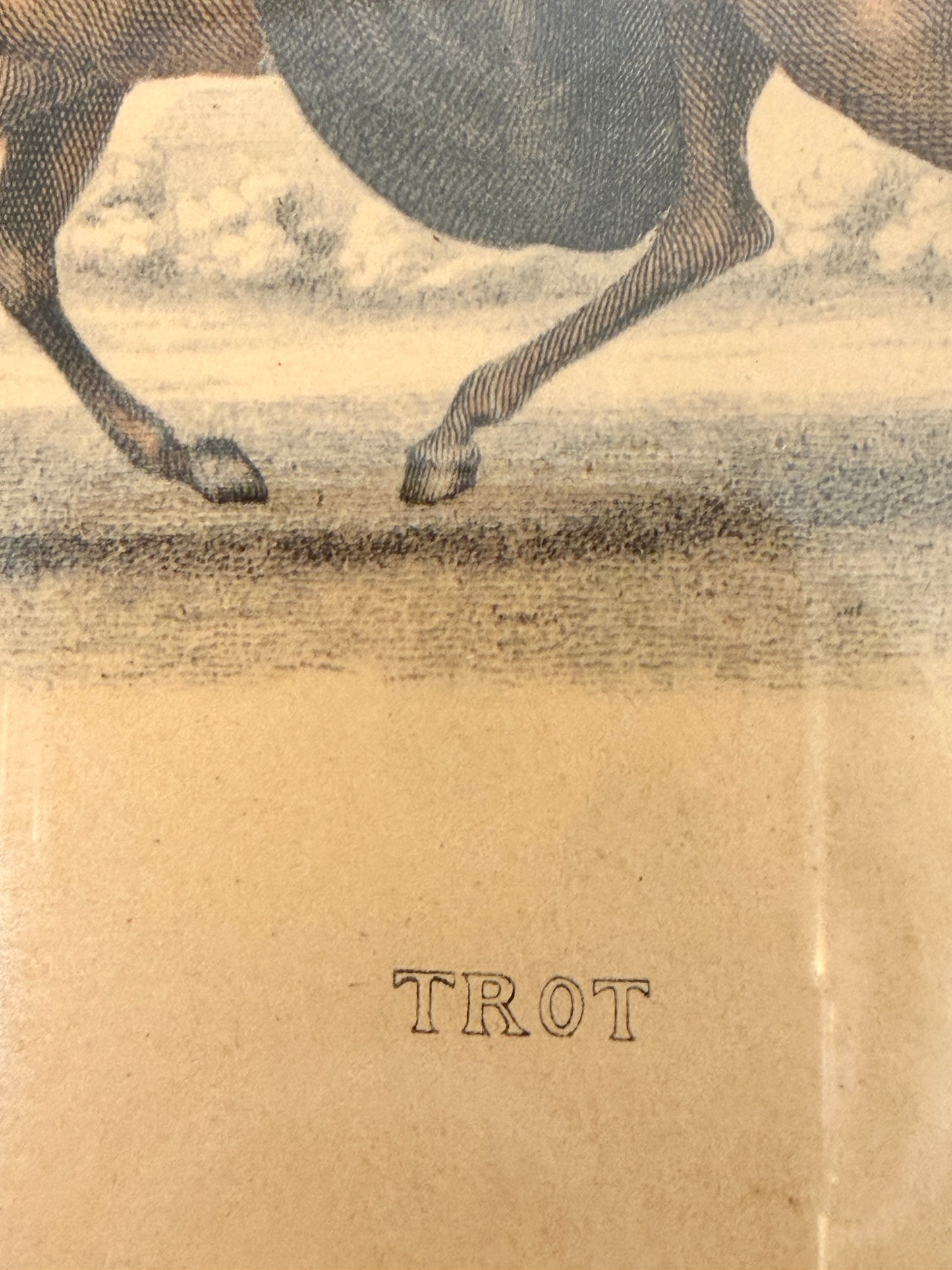 Vintage Equestrian Art Prints
