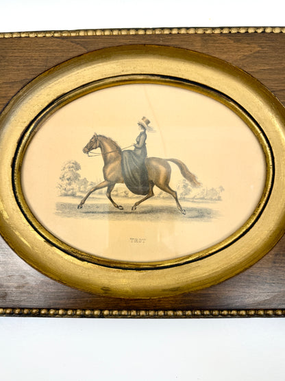 Vintage Equestrian Art Prints