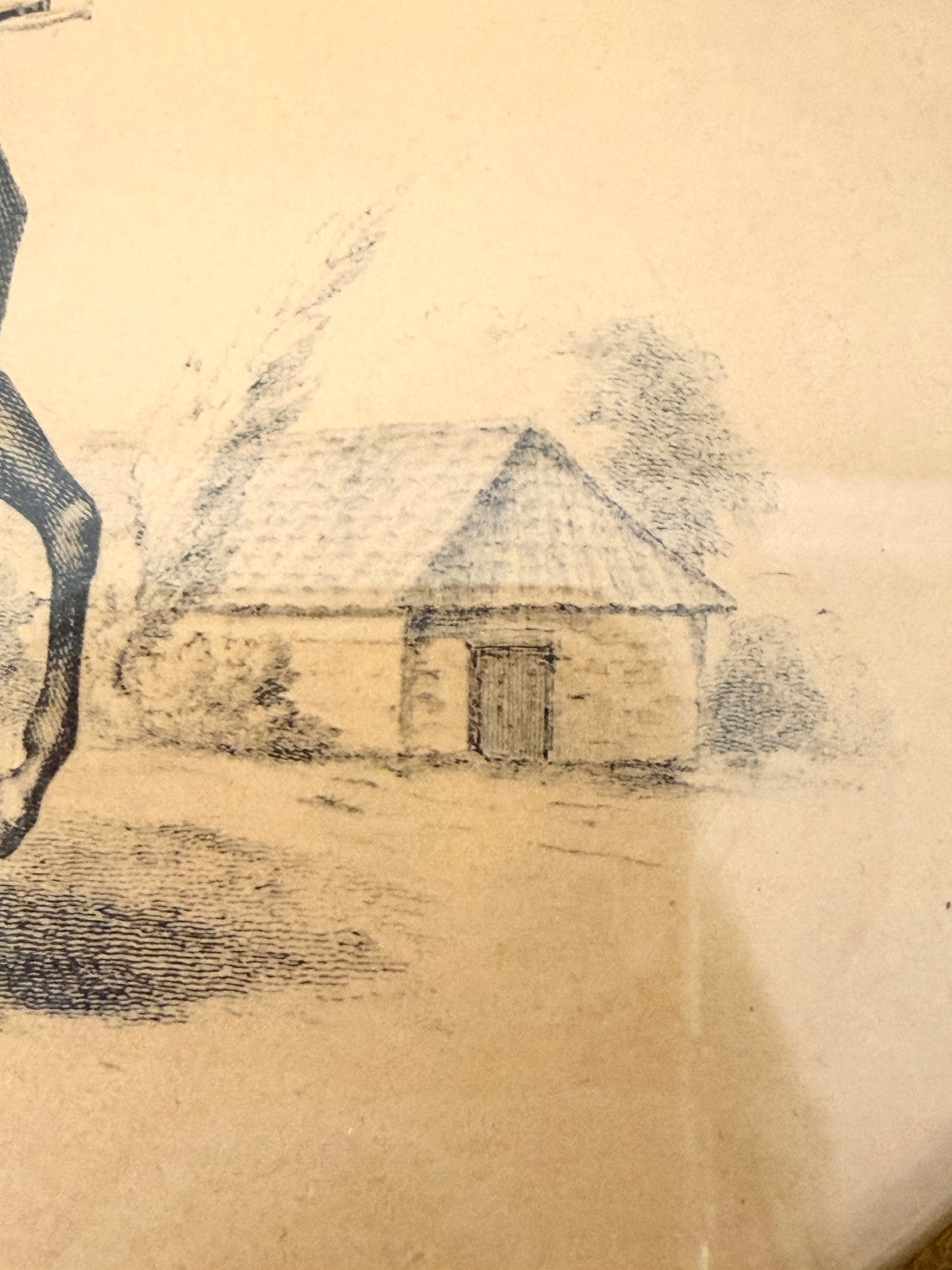 Vintage Equestrian Art Prints