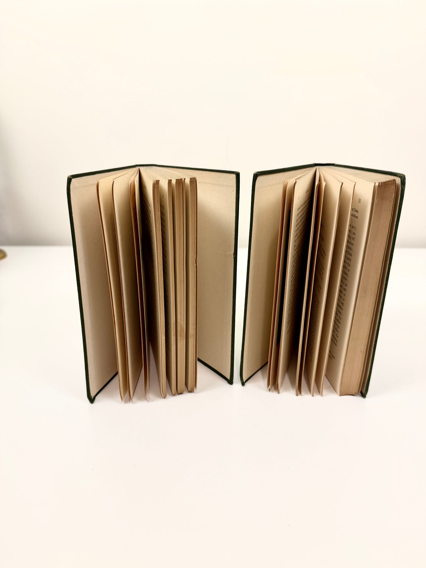 Antique Green Books:  John Ruskin