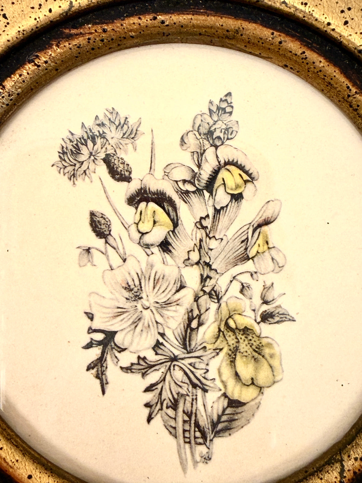 Vintage Small Botanicals: Gilt  Frames