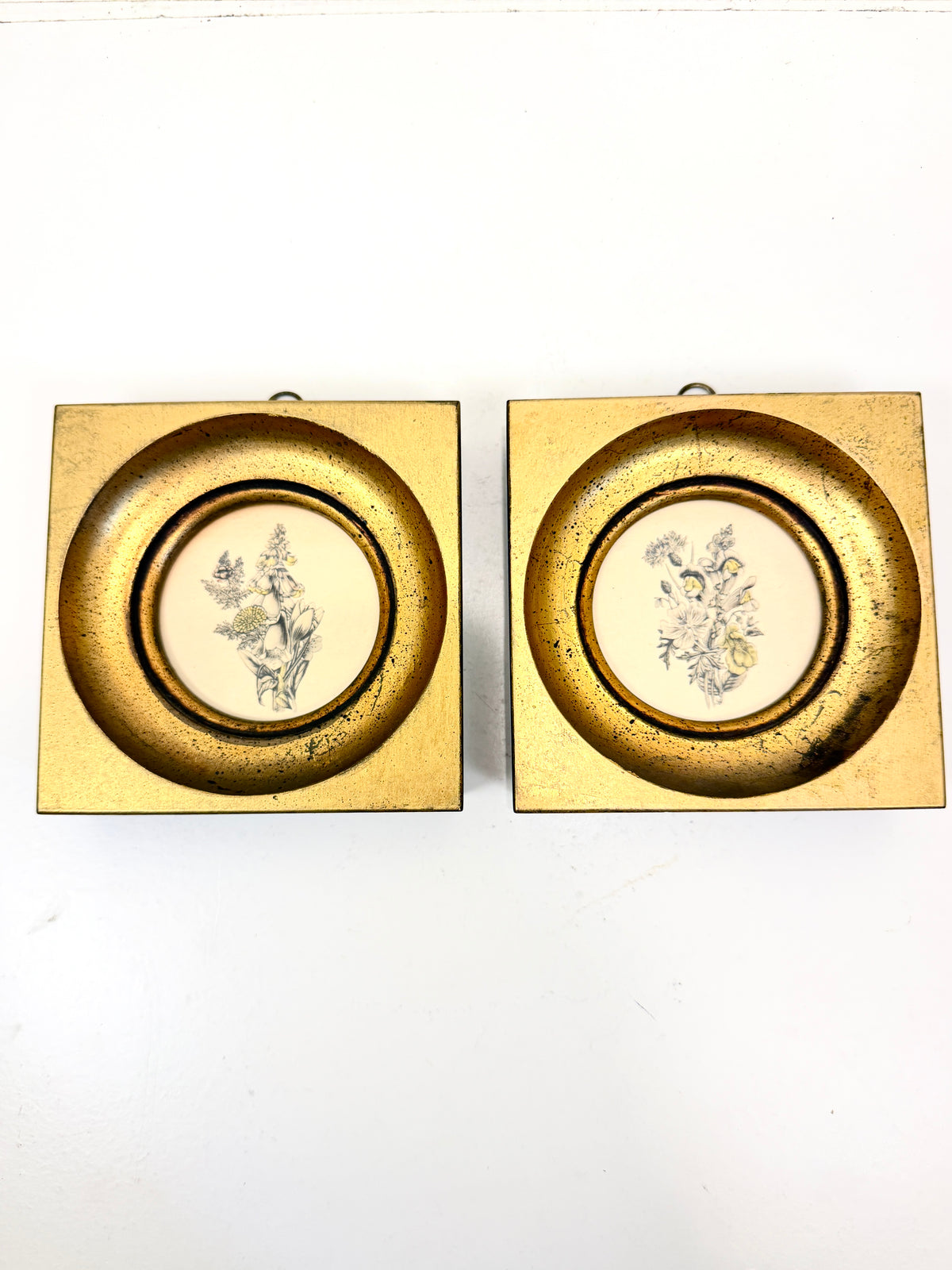 Vintage Small Botanicals: Gilt  Frames