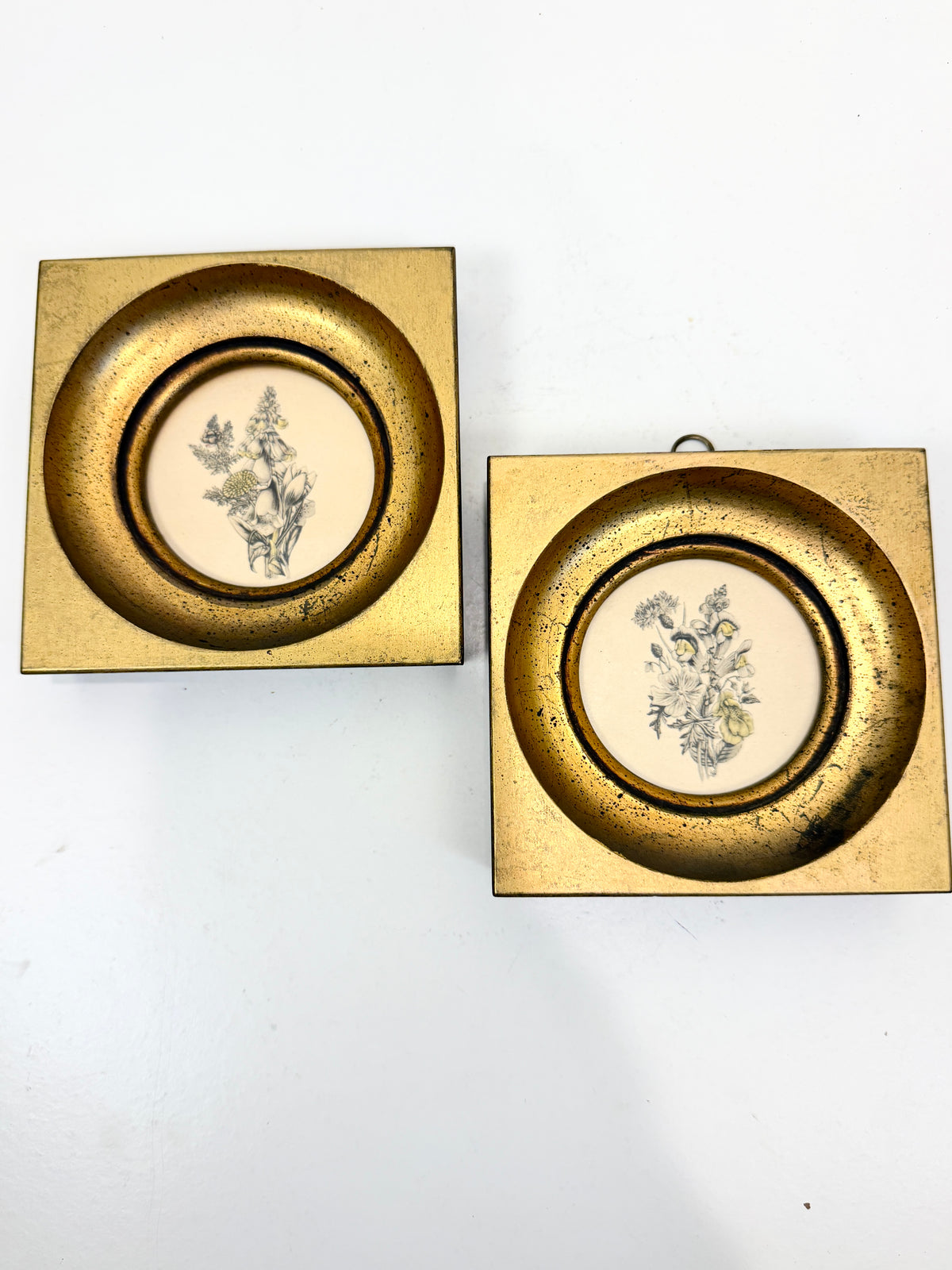Vintage Small Botanicals: Gilt  Frames