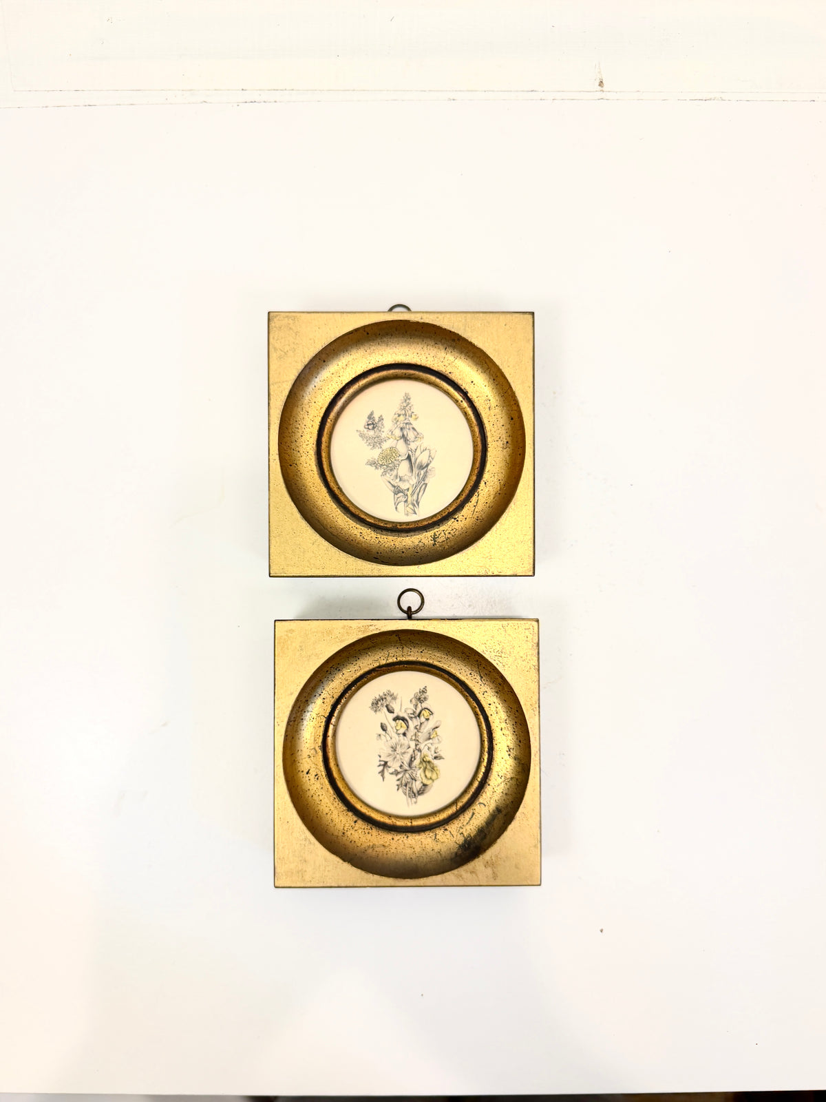 Vintage Small Botanicals: Gilt  Frames