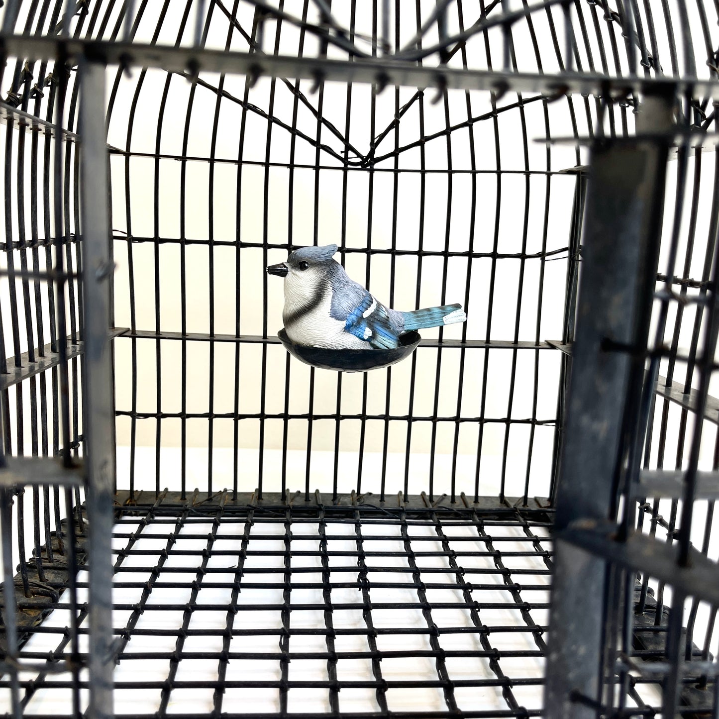 Antique Birdcage